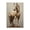 Magnificent Mare Standing, variant on Stupell Industries Magnificent Mare Standing Animals & Insects Painting Gallery Wrapped Canvas Art Print Wall Art, 16 x 24