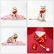 thumbnail image 4 of KAKOWELY 1 juego de bufanda decorativa para gato de Año Nuevo, collar para cachorro, accesorio para fotos, 4 of 5