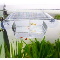 Fish Breeding Box, Acrylic Fish Isolation Box with Suction Cups, Aquarium Acclimation Hatchery Incubator for Baby Fishes Shrimp Clownfish and Guppy. Small Size