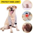 thumbnail image 5 of Manchon de Récupération pour Chiens, Coudières Élastiques pour Chiens, Soulage l'Anxiété pendant le(s) Récupération(s), 5 of 5