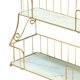 thumbnail image 3 of Estante organizador de baño de 2 capas Estante de carrito de Estante de almacenamiento de maquillaje Soporte de encimera Bandeja de tocador para Baoblaze Estante de baño, 3 of 8