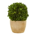 thumbnail image 3 of Nearly Natural Green 7" Plastic and Polyester Boxwood Ball Artificial Plant in Decorative Planter (Set of 2), 3 of 5