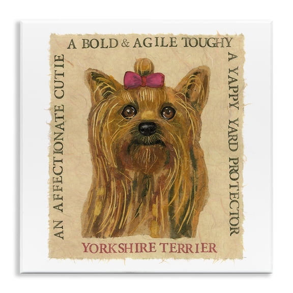 Stupell Industries Eclectic Fun Yorkshire Terrier Phrases Wall Plaque Art, 12 x 12, by Nancy Overton