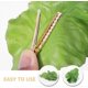 thumbnail image 2 of Clip Vegetable Hairpin Realistic Cabbage Costume Headpiece Spa Face Wash Hairband Novelty Dress Up Hair Accessories Funny Hat, 2 of 5
