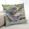 thumbnail image 1 of Ahgly Company Animals Koala Coussin Intérieur, 18 Pouces par 18 Pouces, 1 of 6