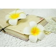 thumbnail image 3 of Espuma artificial Plumeria Rubra cabezas de flores Frangipani decoración de la boda flores Plumeria cabeza de flor/flor de espuma de Plumeria hawaiana, 3 of 6