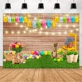 thumbnail image 1 of Spring Easter Backdrop for Photography Easter Eggs Bunny Green Grass Floral Rustic Wood Background Baby Shower, 1 of 5