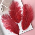 thumbnail image 3 of 50-Pack Floating Plume Feathers, 20-25cm Multicolor Natural Feathers for Wedding Centerpieces, DIY Hair Accessories & Craft Decorations, 3 of 3