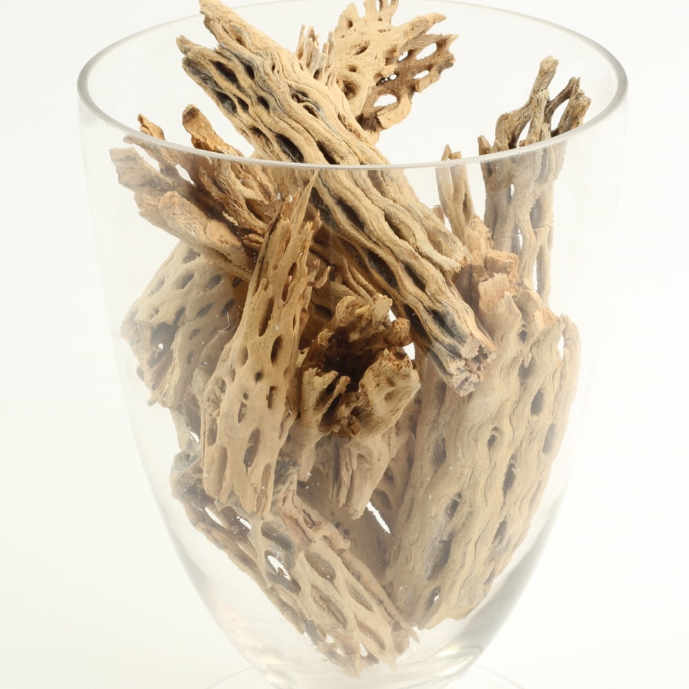 Koyal Wholesale Cholla Wood Aquarium Branches 2lb Bag Airplants Reptile Perch Decor