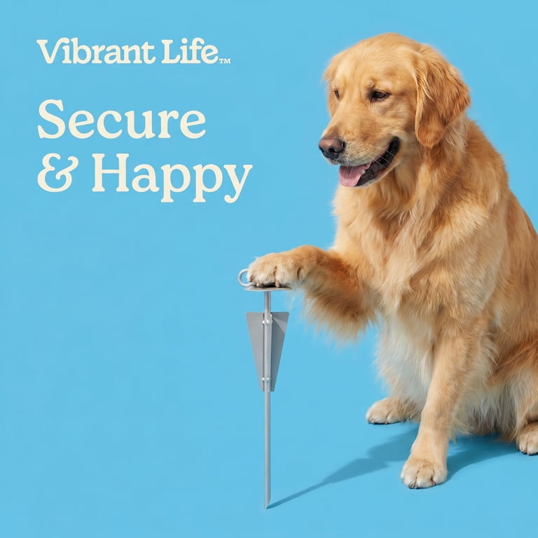 Vibrant Life Heavy Duty Tie-Out Stake, XL, 18 In. photo 5