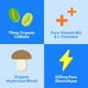 thumbnail image 3 of Nectar Energy Booster - Cafeína orgánica, B12 y electrolitos - Sin azúcar y cero calorías - Café saludable, bebida energética y alternativa a refrescos - Suplemento de hidratación y energía (variedad, 3 of 5
