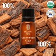 thumbnail image 2 of Aceite Esencial Puro Cedro 15 ml, 2 of 5