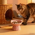 thumbnail image 6 of Vacemry under $5 Elevated Ceramic Cat Bowl, Cat Food Bowl Large Capacity Pet Dish Cute Drinking Bowl for Neck Support, Ergonomic Elevated Design for Easier Digestion, 6 of 6
