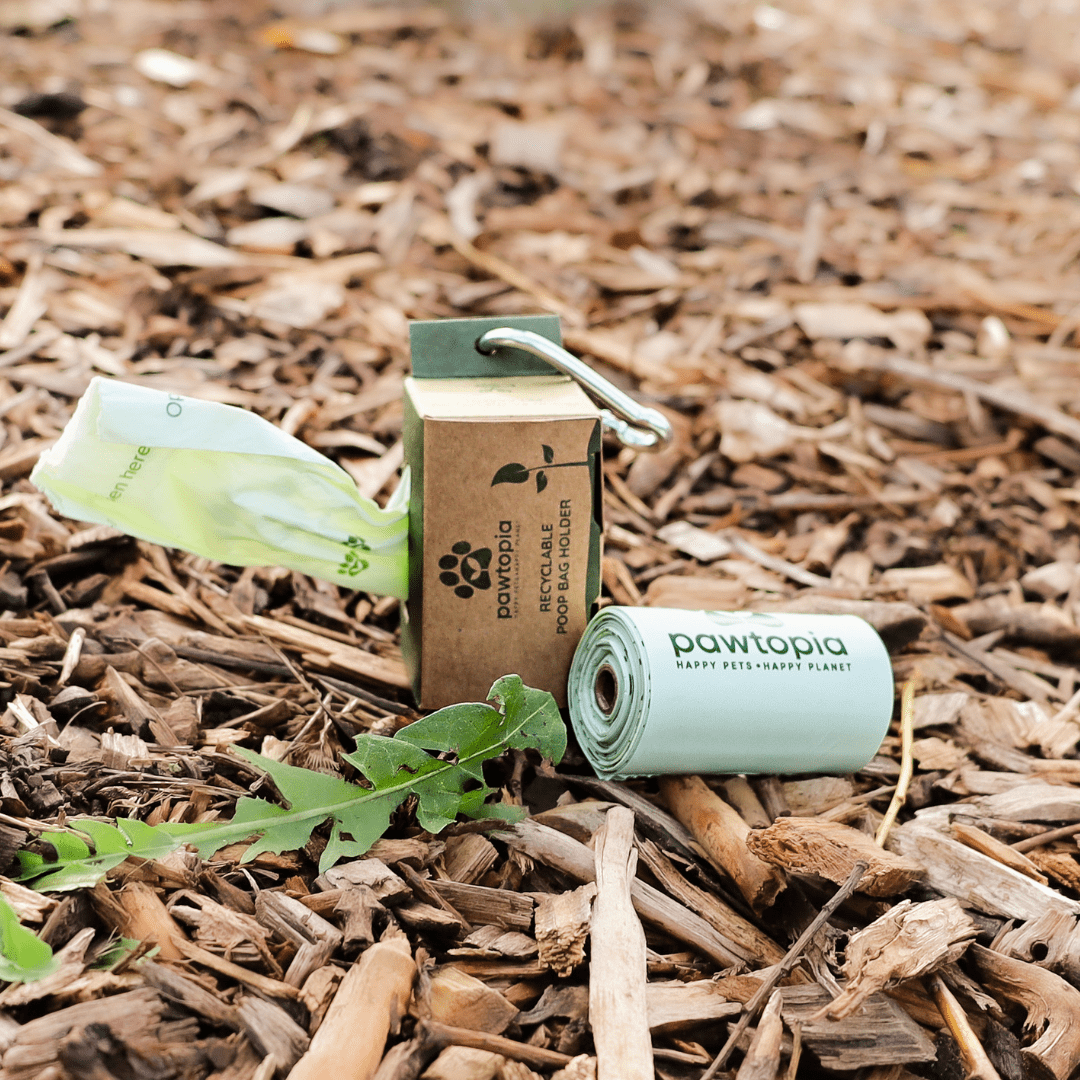 Pawtopia Certified Home Compostable Dog Poop Bag| Cat Litter Bag (240 Bags + Paper Dispenser, Green)