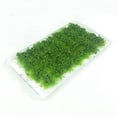 thumbnail image 4 of Tufts de hierba en miniatura tupida, modelo de paisaje, terreno de juego en miniatura, modelado de ferrocarril, decoraciones DIY, césped Artificial, mechones de hierba en racimo 28 cepas Baoblaze mechones de hierba en miniatura, 4 of 8