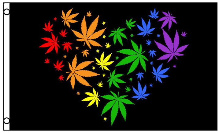 Multicolor Buckle Down Colorado Flag/Marijuana Leaf Throw Pillow 