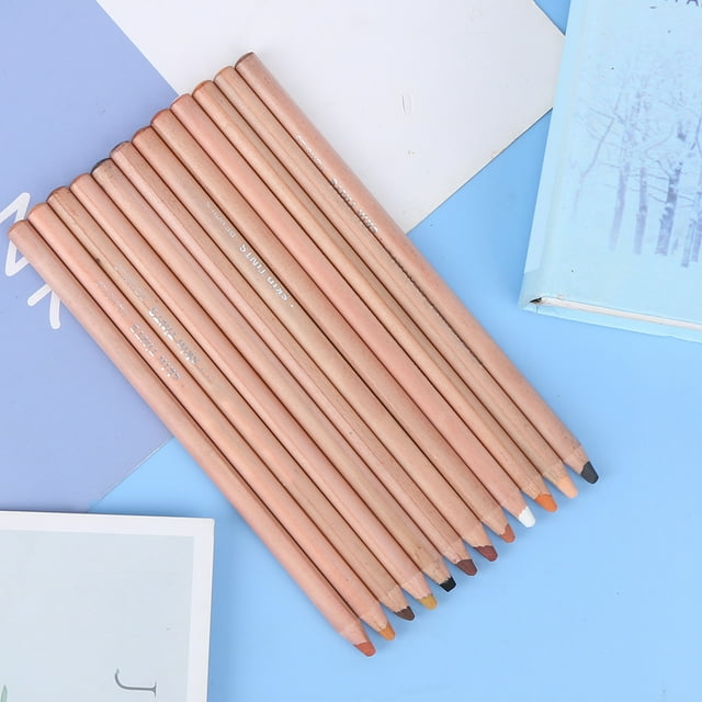 Crayon à Croquis, Outil de Peinture, 12 Pcs pour Peinture Humide Peinture Sèche