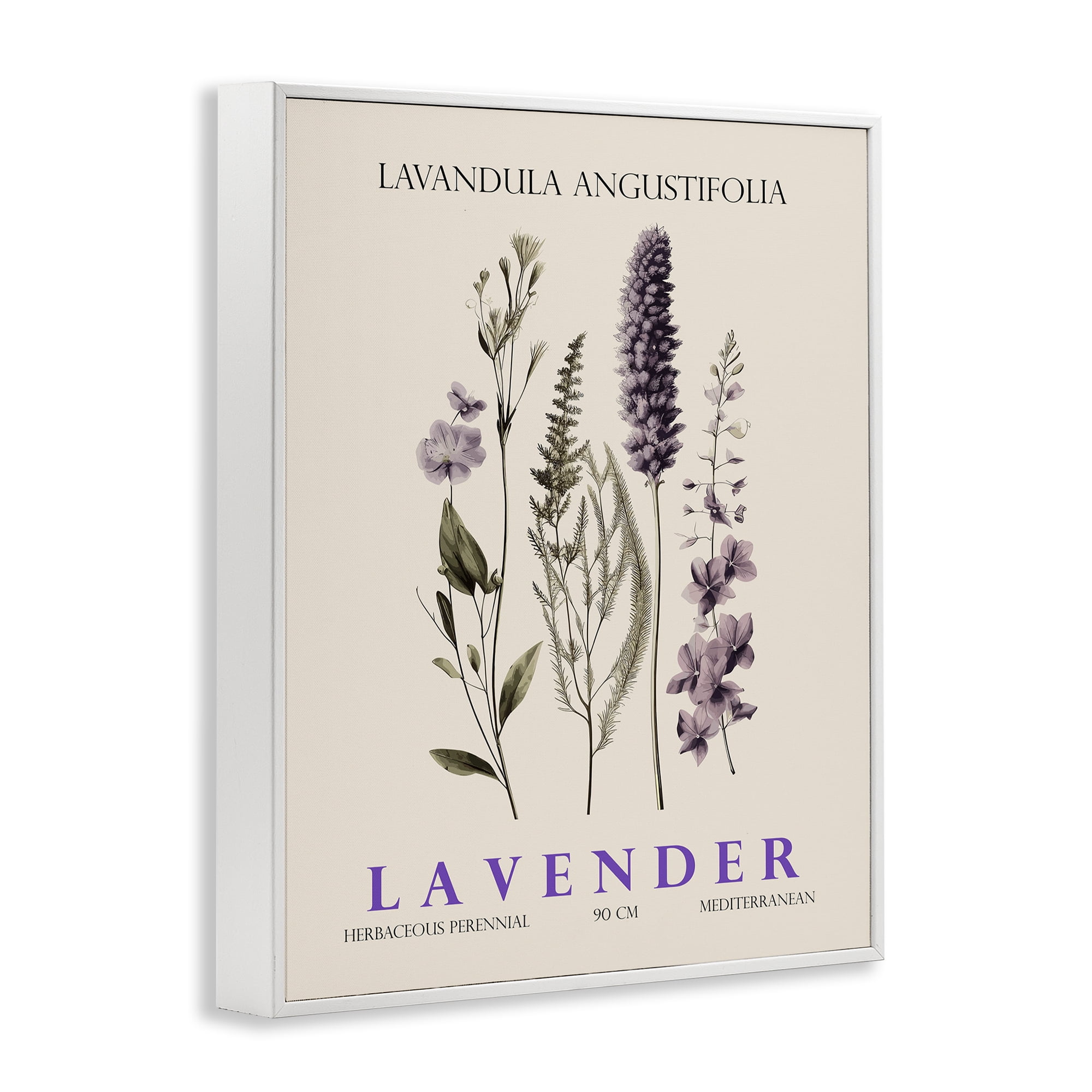Stupell Industries Natural Lavender Bundle White Framed Giclee Art, design by Christopher Giampietro