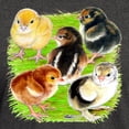 thumbnail image 3 of CafePress - Five Chicks Dark T Shirt - Men's Classic Graphic Cotton T-Shirt, 3 of 4