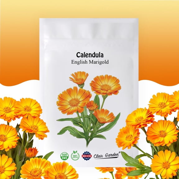 English Marigold -ITSC Calendula officinalis - 750 Seeds - Bright Orange Flowers, Heirloom Non-GMO, USA Grown, Excellent for Pollinators, Annual - Vibrant Flowers for Any Home Garden