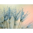 thumbnail image 2 of Beddoes, Ingrid 18x15 White Modern Wood Framed Museum Art Print Titled - Summer Rain, 2 of 4