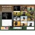 Black Lab Dog Breed 2025 Wall Calendar