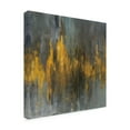 thumbnail image 2 of Trademark Fine Art 'Black and Gold Abstract' Canvas Art by Danhui Nai, 2 of 3