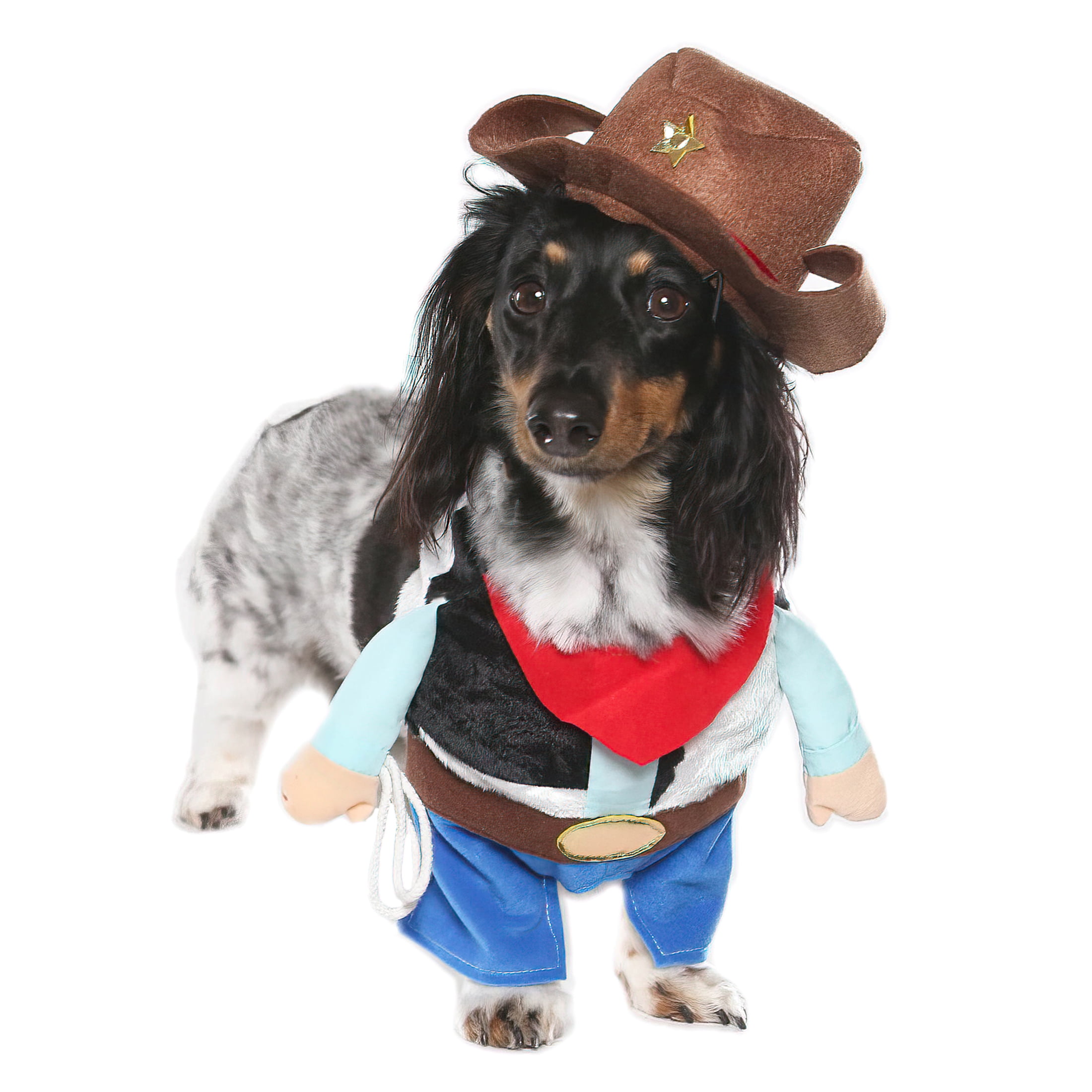 Vibrant Life Halloween Dog Costume and Cat Costume Cowboy, Size Small
