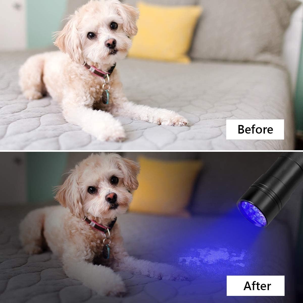 Kobra Black Light Flashlight 100 LED Lamp and Blacklight for Home & Hotel  Inspection, Pet Urine & Stains - Ultra Intensity 18W 385-395nm LEDs Spot