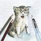 thumbnail image 2 of Lápices de Colores Acuarelables Pentel 12 U-CB9-12-EST, 2 of 5