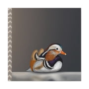 Mandarin Duck Reflection - Canvas