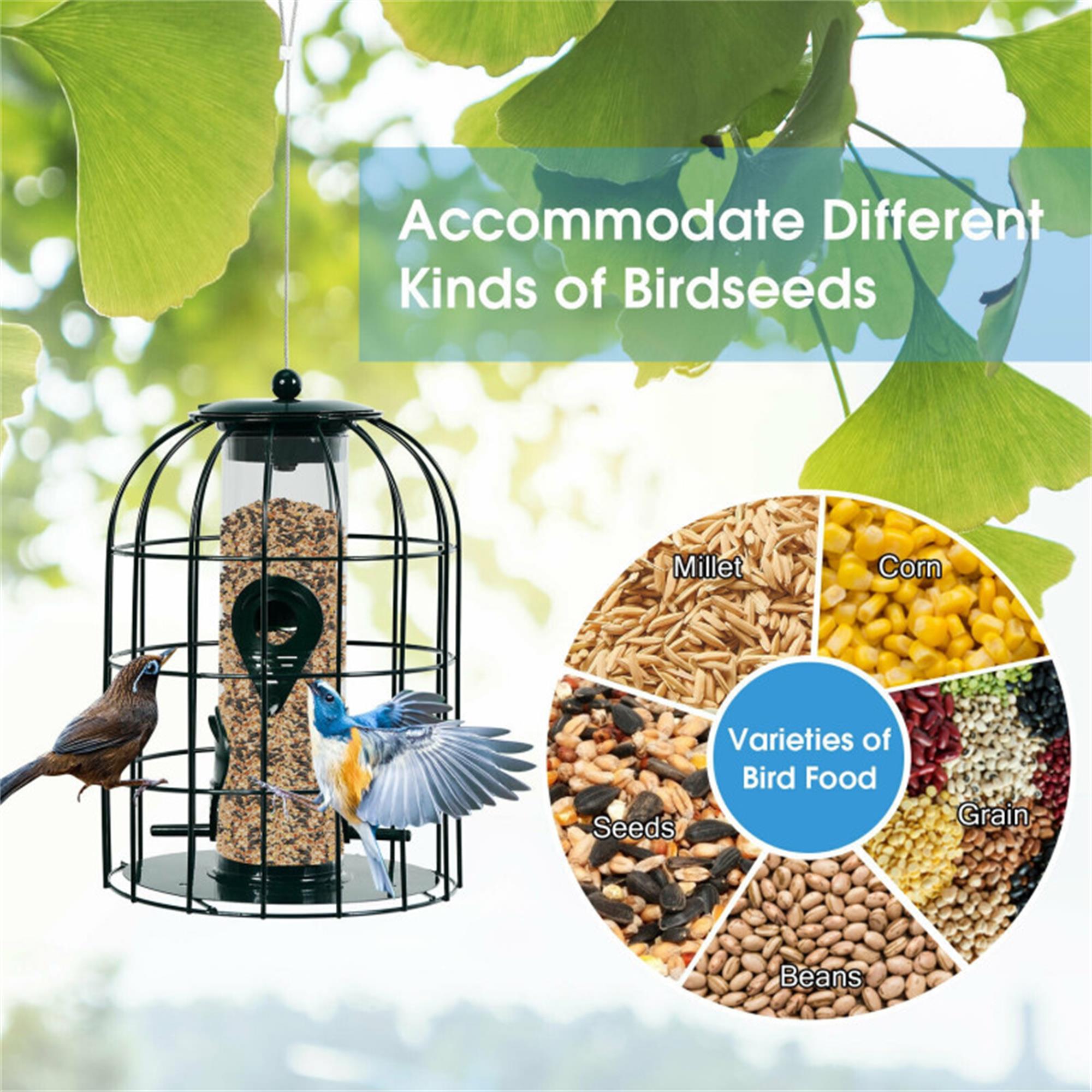 Kadyn 10" Bird Feeder for Outside Hanging, Metal Seed Guard Deterrent House Squirrel-proof Caged Tube Wild Hut, Green