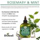 thumbnail image 2 of Aceite capilar Difeel de romero y menta con biotina 210 ml (paquete de 2), 2 of 9