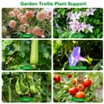 thumbnail image 5 of Multifunctional Foldable Gardening Support Stand Plant Pillar Climbing Stand, 5 of 8