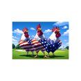 thumbnail image 3 of fsxdhpcsgfc Independence Day Flannel Absorbent Rug For Living Room Bathroom Kitchen Entryway Non Soft Mat Million Blanket Fuzzy Blanket Full Size Electronic Throw Blanket Star Blanket Throw Heated, 3 of 4