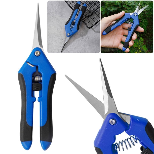 Tijeras Jardinería 6 5 Pulgadas Tijeras Podar Curvas Acero Inoxidable (azul)