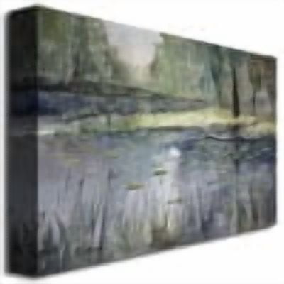 Trademark Art "Tranquility" Canvas Art by Ryan Radke