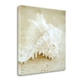thumbnail image 2 of "Seashore Shells II" By Brookview Studio, Giclee Print on Gallery Wrap Canvas, 2 of 2