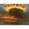 thumbnail image 3 of Anonymous 24x19 Black Modern Framed Museum Art Print Titled - Triumph Insurance Co., (Andes), Oct. ’71 (1871), 3 of 5