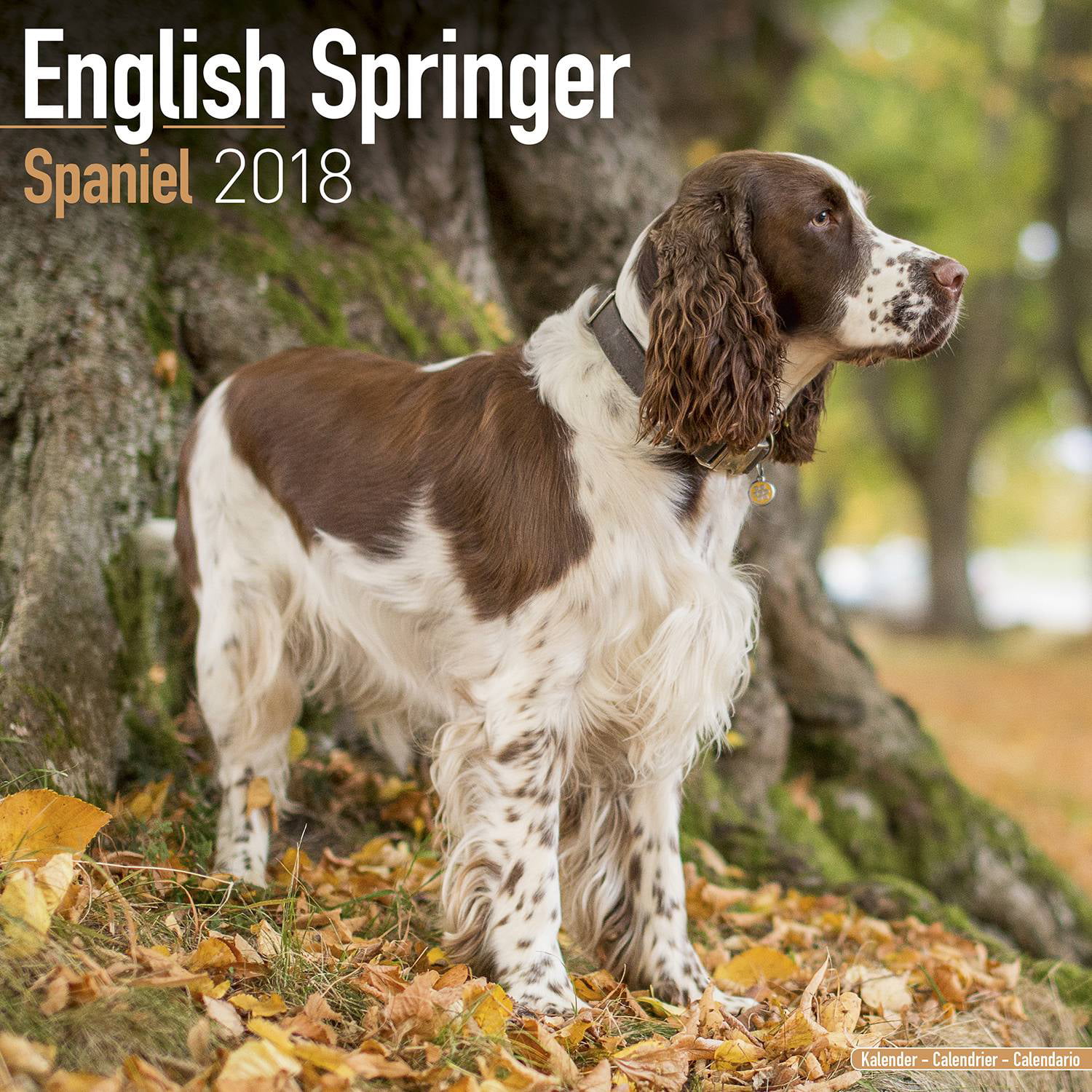 Bek de studie Onafhankelijkheid English Springer Spaniel Calendar 2018 (Euro) - Dog Breed Calendar - Wall Calendar  2017-2018 - Walmart.com