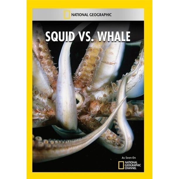 Squid Vs Whale Walmart Walmart