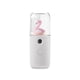 thumbnail image 1 of Pulverizador facial de la niebla 30 ml Cuidado de la piel Humidificador USB Pollo de mano Polleo fresco Rocío de nebulizador de nebulizador para salón blanco Tipo 2 Inevent HA059145-05B, 1 of 7