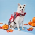 thumbnail image 2 of Vibrant Life Halloween Racing Driver Costume for Dogs, Red, Medium, 2 of 8