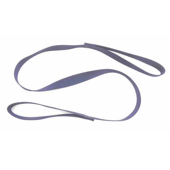 Slip Leash (Blue, 8 ft)