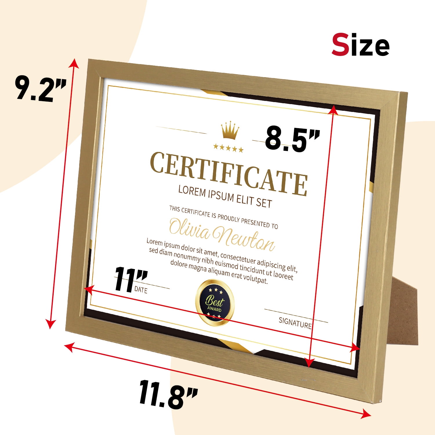 Set of 12 Gold 8.5x11 Picture Frames - Modern Multi-Frame Bulk Pack for Certificates, Diplomas, Documents