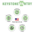 thumbnail image 4 of Keystone Pantry Lemon Flavored syrup, sweetened with Allulose and Monk Fruit, 4 of 5