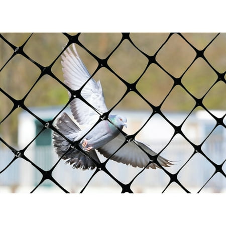 Bird Netting 3/4" Pest Bird Control, 100' Roll Blocks Pest Birds