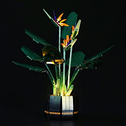 Light Set Compatible with Lego 10289 Bird of Paradise Building Blocks Model - Not Included in The Model