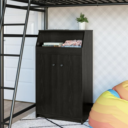 

Ameriwood Home Uptown Flats 2 Door Storage Tower Black Oak