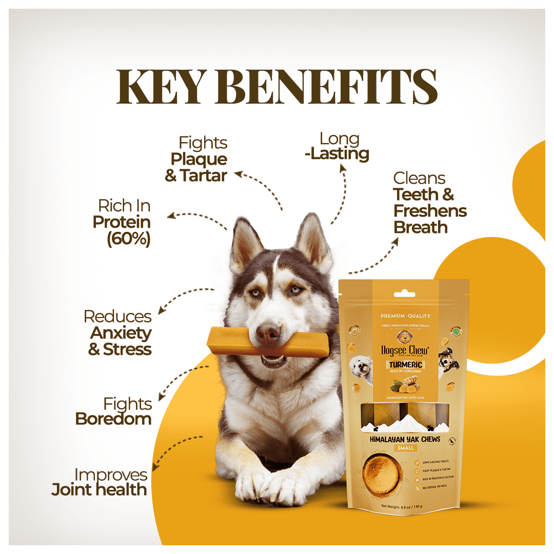 Dogsee Himalayan Yak Cheese Dog Chews with Turmeric/Curcumin (Medium - 6Chew) | Long Lasting | Anti-inflammatory | Fights Plaque and Tartar | Odorless Dog Treats